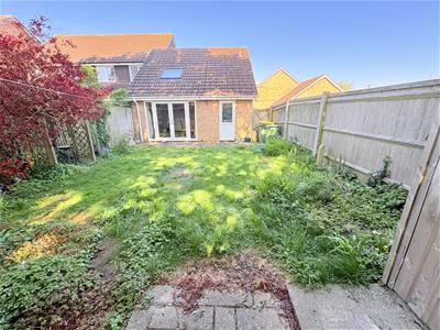 Picture 12